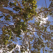 Picture 068